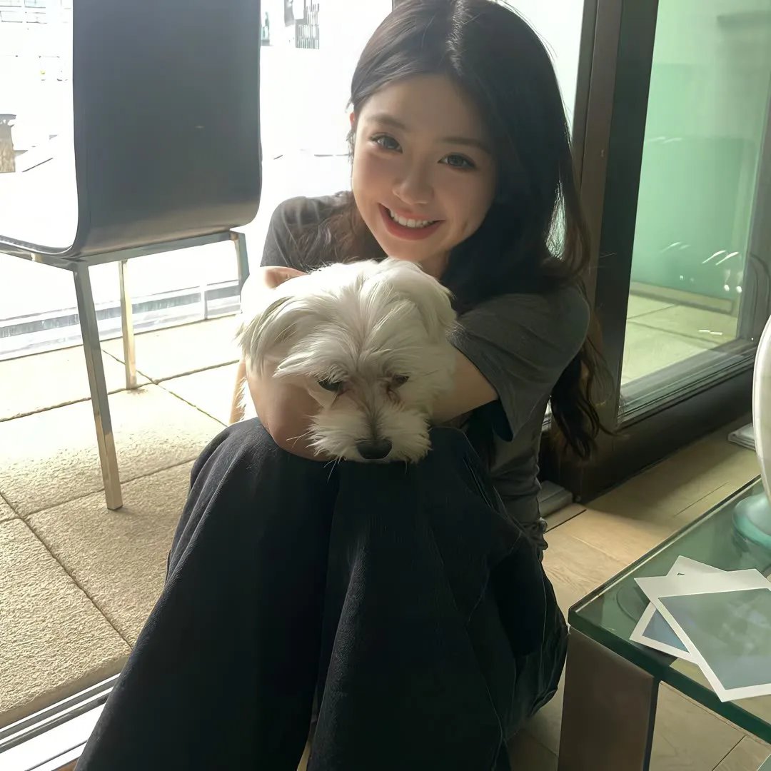 泡芙小姐第四季